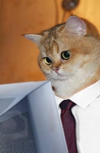 Victor Whiskers