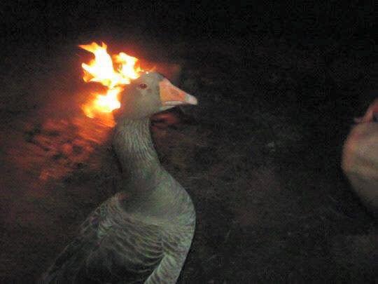 Ignatius Blaze