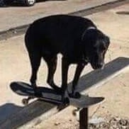 Broderick Skate